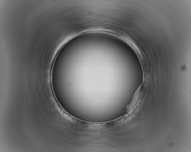X0000095540813200712141022