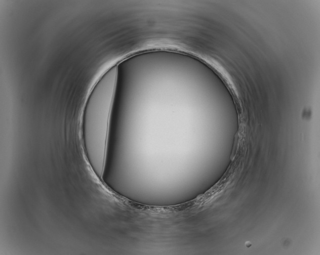 X0000095540815200712141022