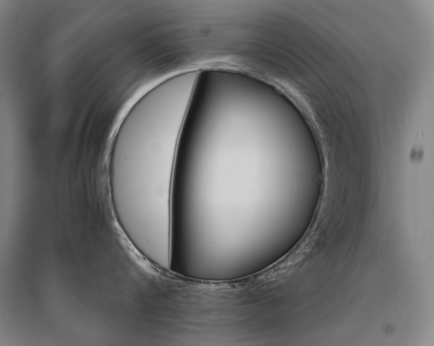 X0000095540816200712141022