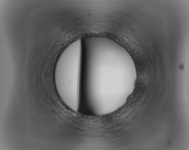 X0000095540817200712141022