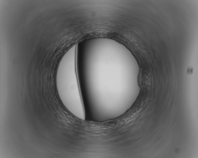 X0000095540818200712141022