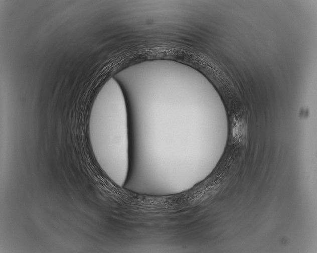 X0000095540819200712141022