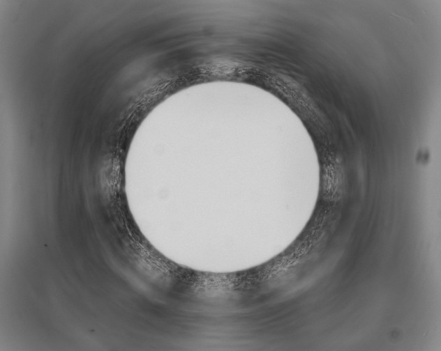 X0000095540820200712141022