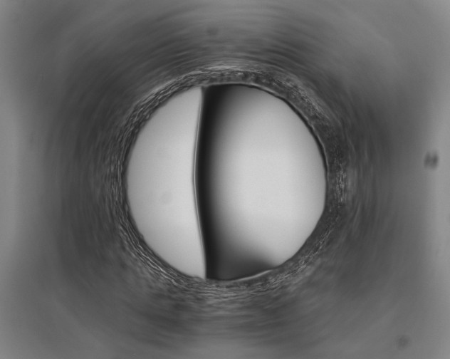 X0000095540821200712141022
