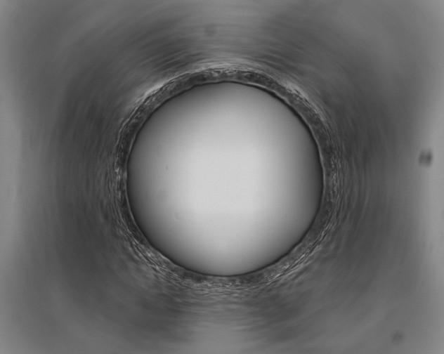 X0000095540822200712141022