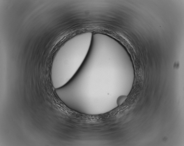 X0000095540823200712141022