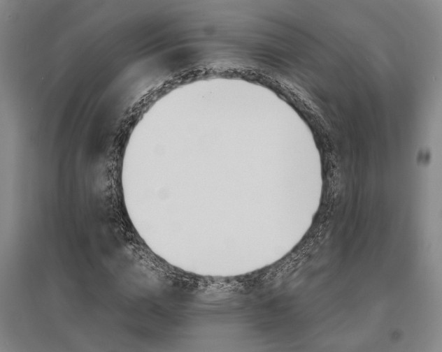 X0000095540824200712141022