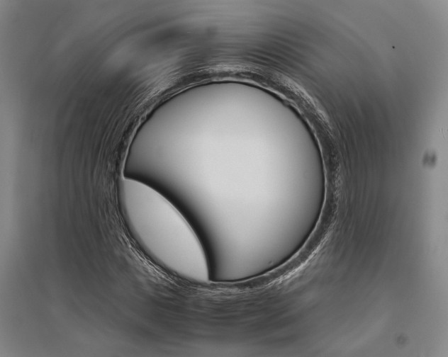 X0000095540825200712141022