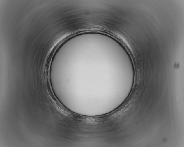 X0000095540827200712141022