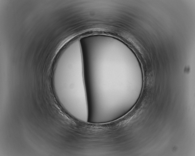 X0000095540829200712141022