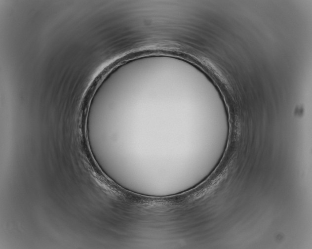 X0000095540830200712141022