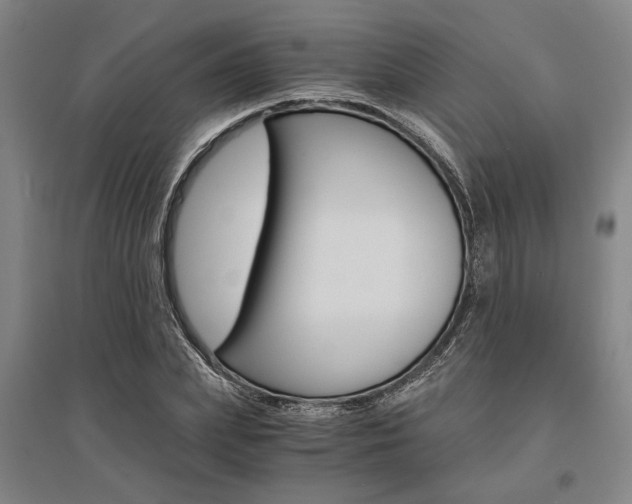 X0000095540831200712141022