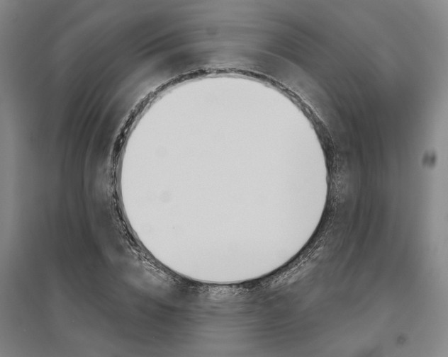 X0000095540832200712141022