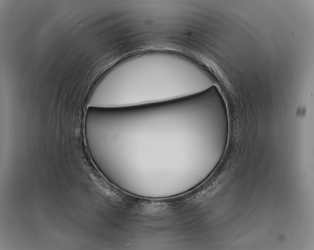 X0000095540833200712141022