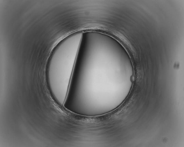 X0000095540834200712141022