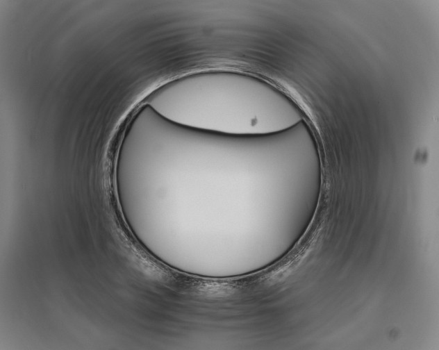 X0000095540835200712141022