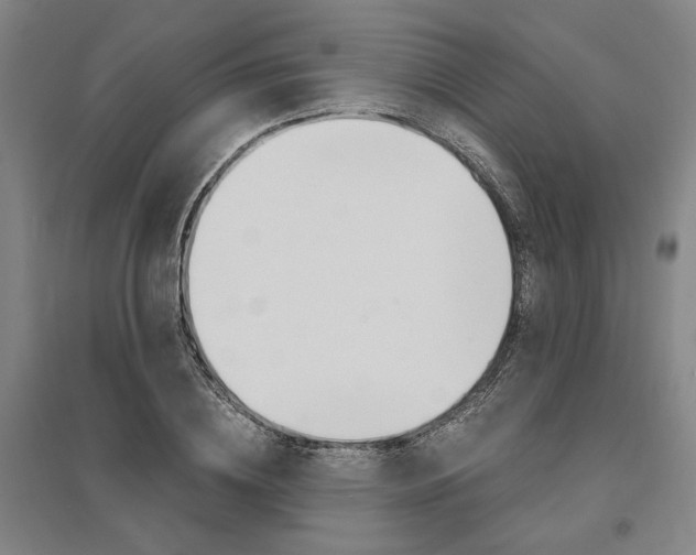 X0000095540836200712141022