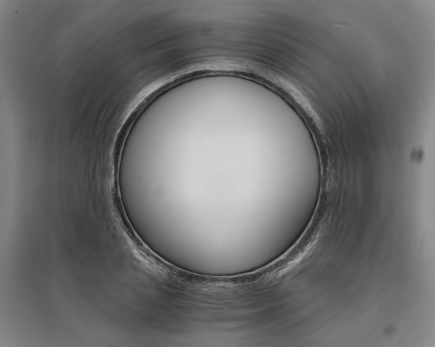 X0000095540837200712141022