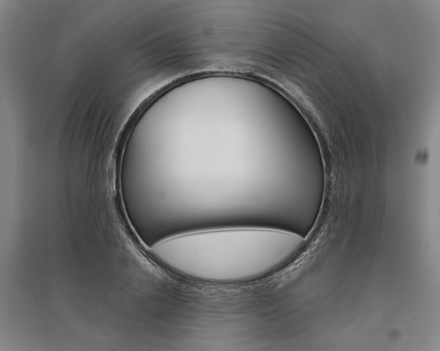 X0000095540838200712141022