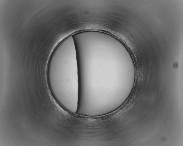X0000095540839200712141022
