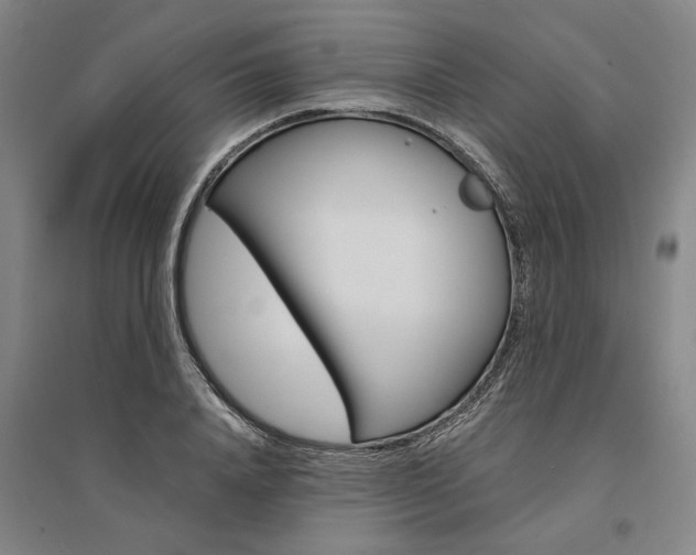 X0000095540840200712141022