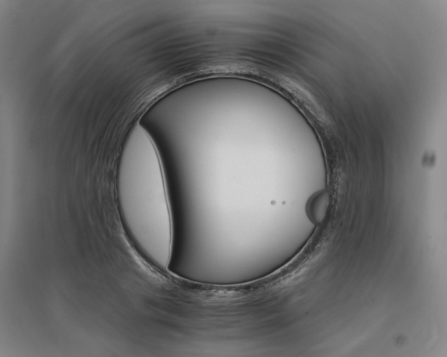 X0000095540841200712141022