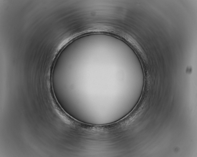 X0000095540842200712141022