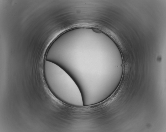 X0000095540844200712141022