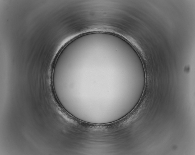 X0000095540846200712141022