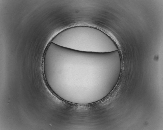 X0000095540847200712141022
