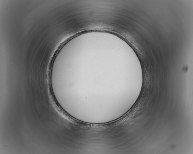 X0000095540848200712141022