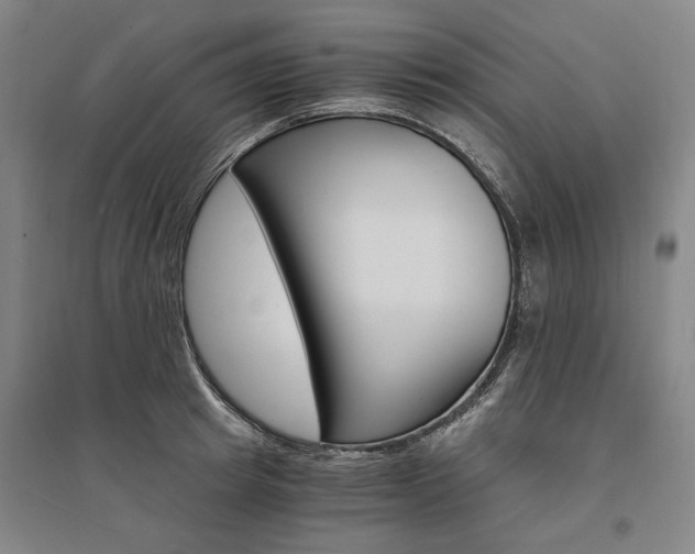 X0000095540849200712141022
