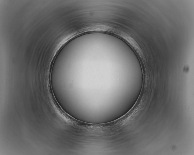 X0000095540850200712141022