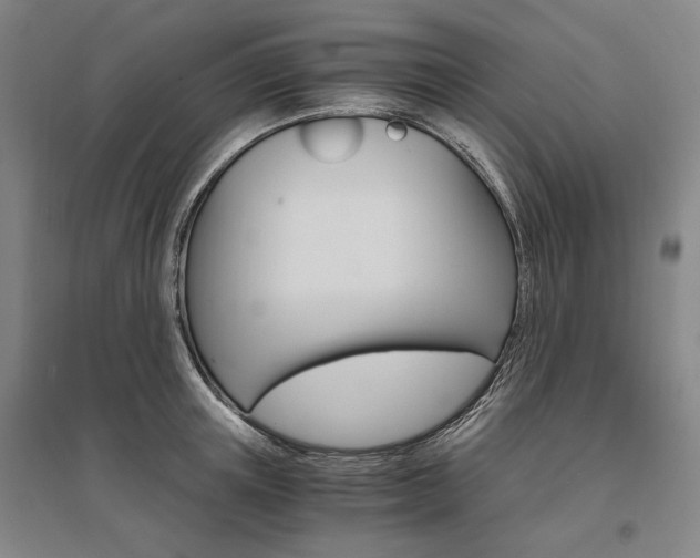X0000095540851200712141022
