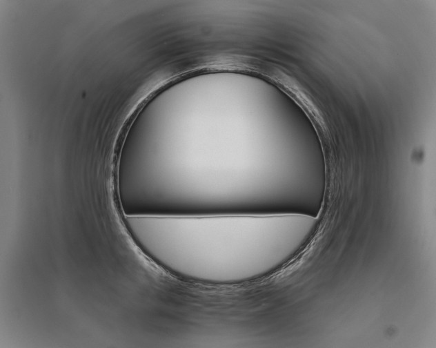 X0000095540853200712141022