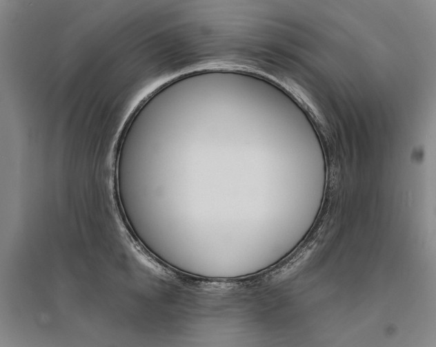 X0000095540854200712141022