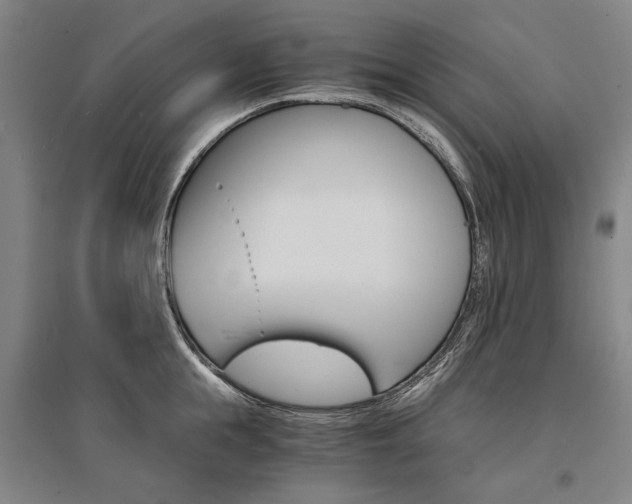 X0000095540855200712141022