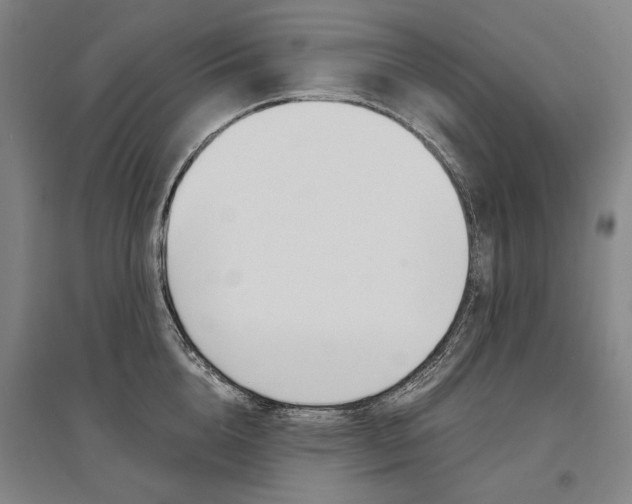 X0000095540856200712141022