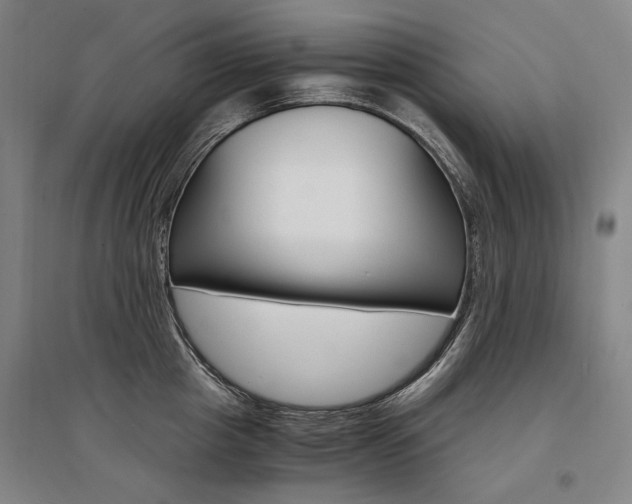 X0000095540857200712141022