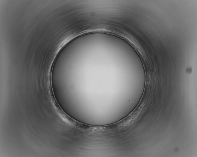 X0000095540858200712141022