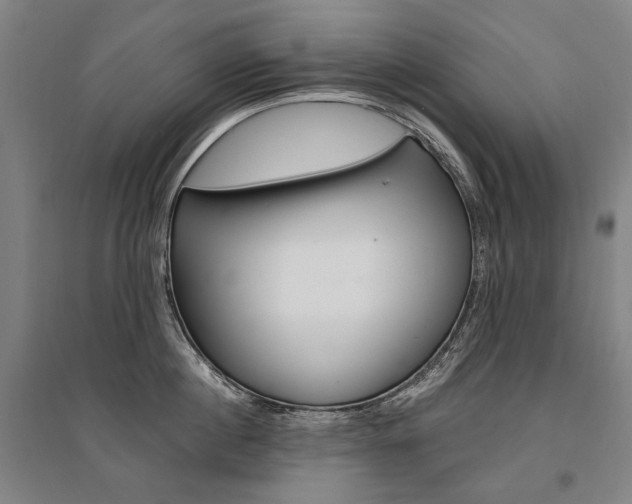 X0000095540860200712141022