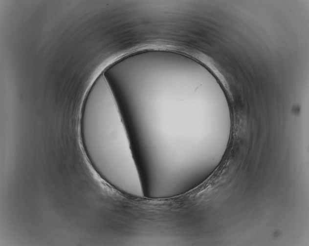 X0000095540861200712141022