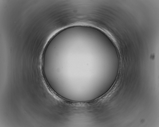 X0000095540862200712141022