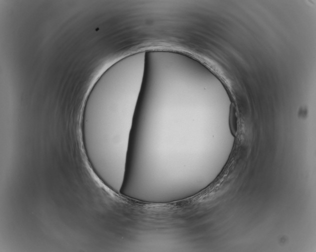 X0000095540863200712141022
