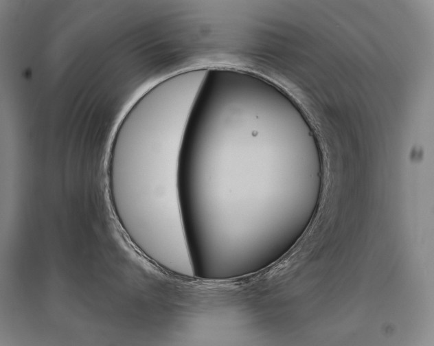 X0000095540864200712141022