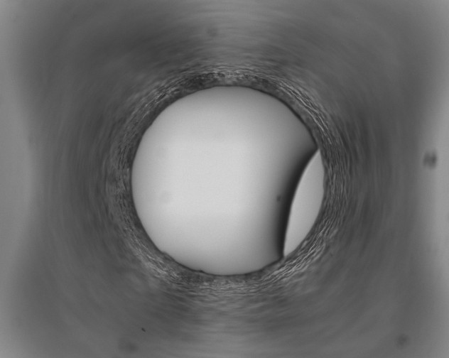 X0000095540865200712141021