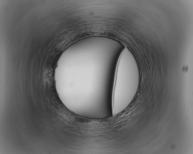X0000095540867200712141021