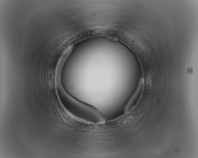 X0000095540868200712141021