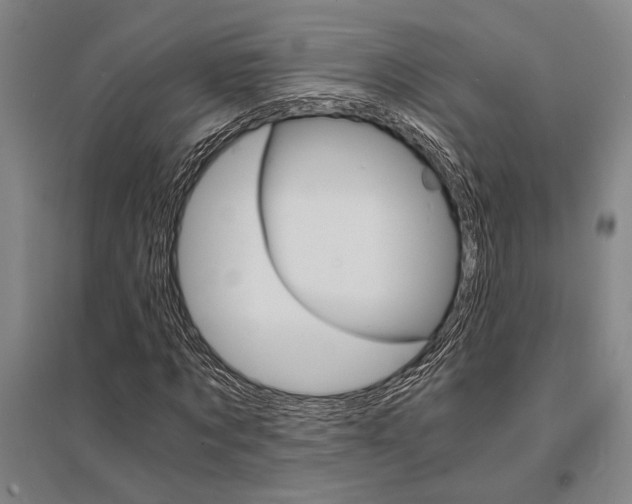 X0000095540869200712141021