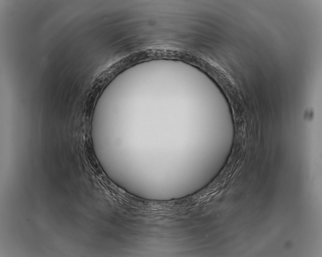 X0000095540870200712141021
